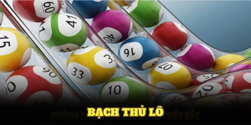 Bạch thủ lô