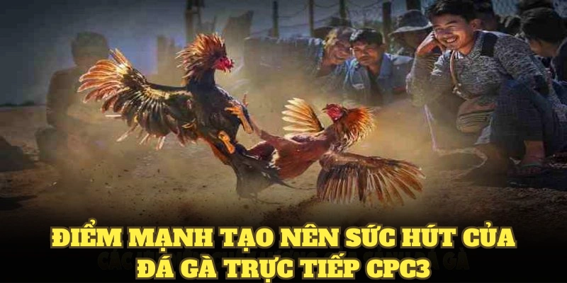 Điểm mạnh tạo nên sức hút của đá gà trực tiếp CPC3 với cộng đồng cược thủ