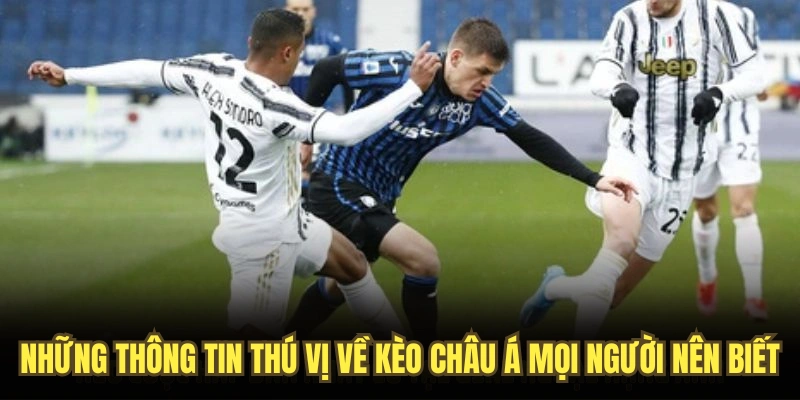 Những thông tin thú vị về kèo châu Á mọi người nên biết