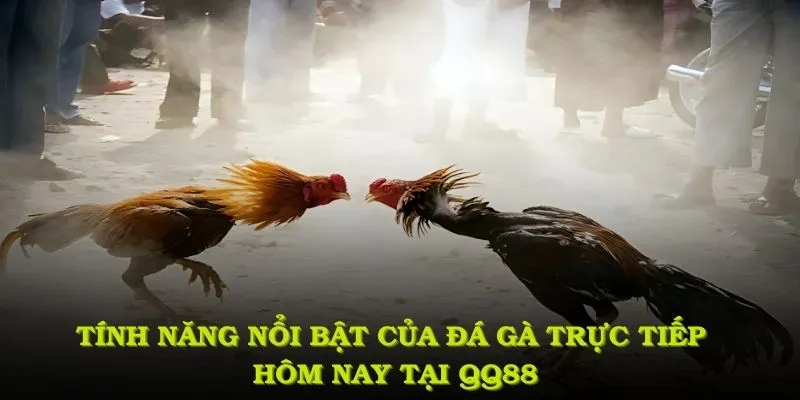 Tính năng nổi bật của đá gà trực tiếp hôm nay tại QQ88